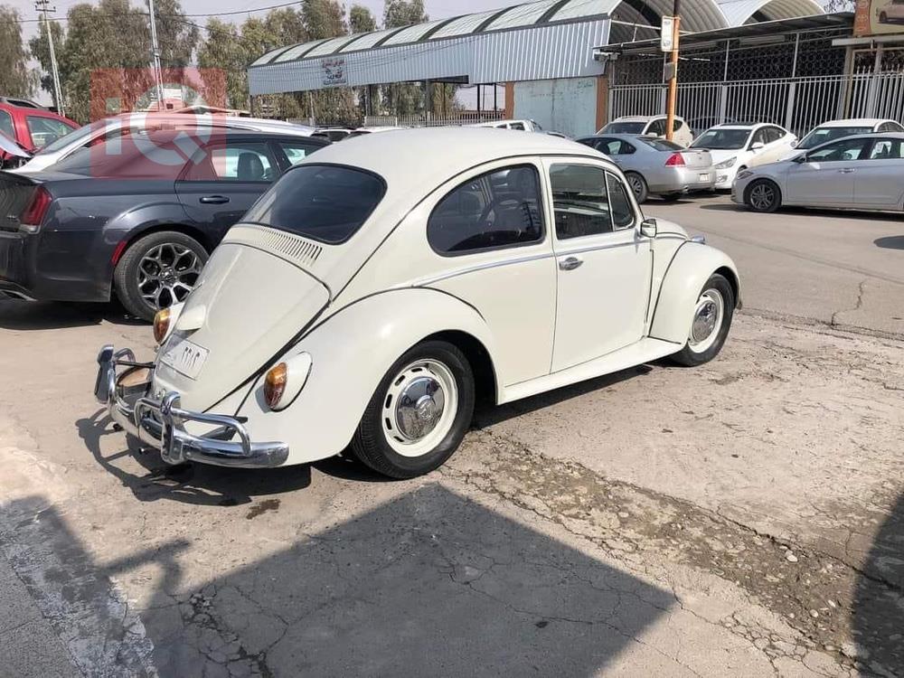 Volkswagen Beetle